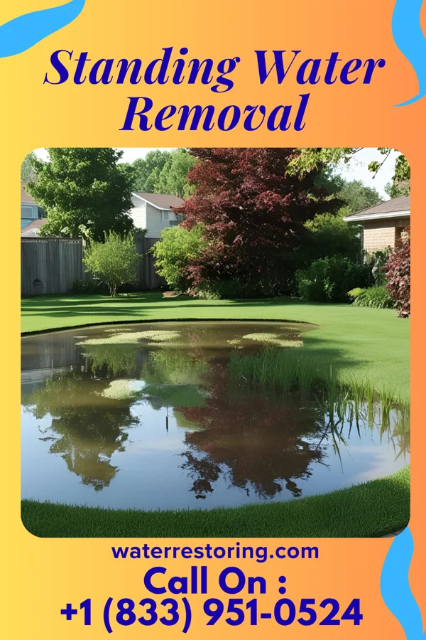 Standing Water Removal in Fond du Lac, WI